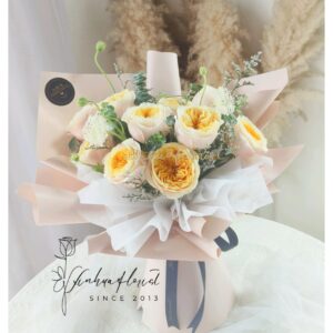 XH-811 - Blush - Champagne Rose